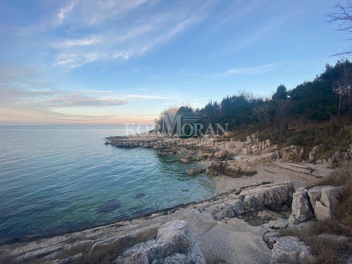 STUDIO APARTMA S POGLEDOM NA MORJE
